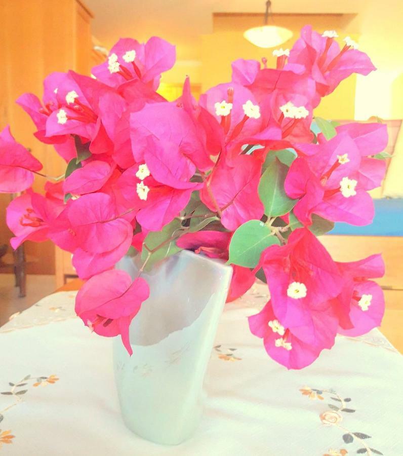 Para Thin Alos Apartment Vathy  Luaran gambar